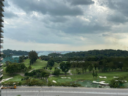 Skyline Residences (D4), Condominium #217738071